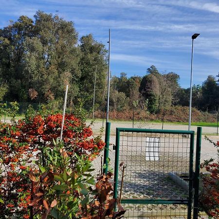 Appartamento 9 Residance Piviere Calambrone Exterior foto