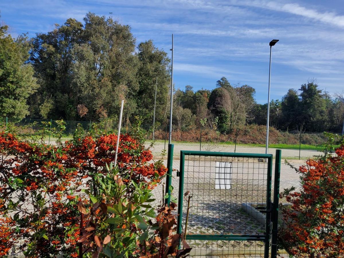 Appartamento 9 Residance Piviere Calambrone Exterior foto